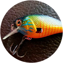 Fishaddictamy Avatar